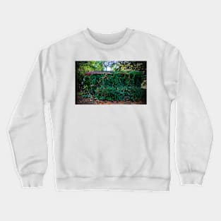 Hidden Shed Crewneck Sweatshirt